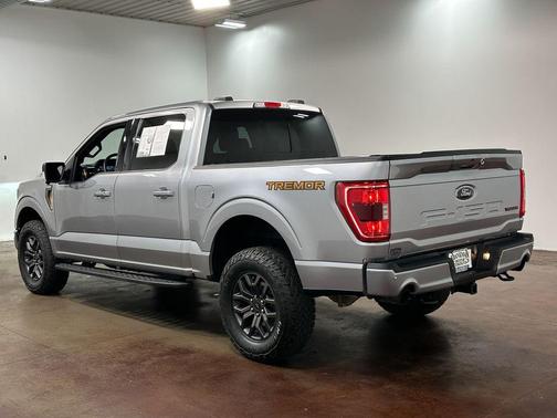 Iconic Silver Metallic 2023 Ford F-150 Tremor