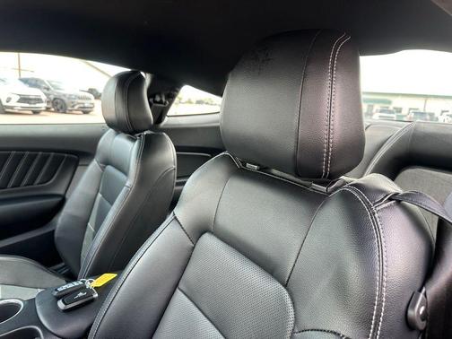 Velocity Blue Metallic 2019 Ford Mustang GT Premium