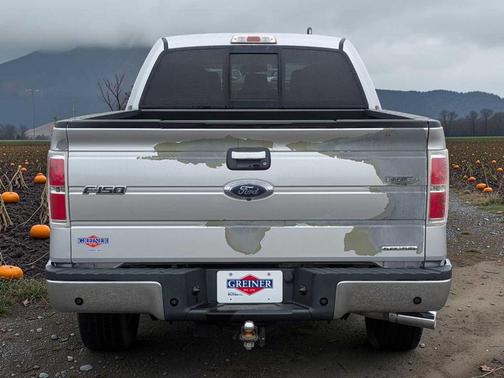 Ingot Silver Metallic 2014 Ford F-150 XLT