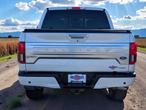 2019 Ford F-150 Platinum