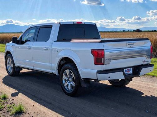 2019 Ford F-150 Platinum