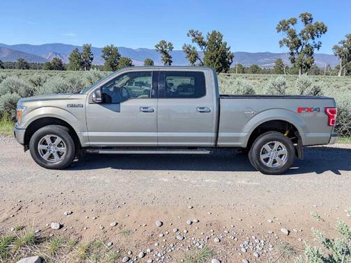 Silver Spruce Metallic 2019 Ford F-150 XLT