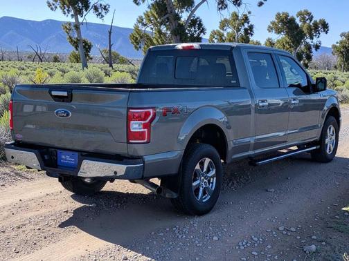 Silver Spruce Metallic 2019 Ford F-150 XLT