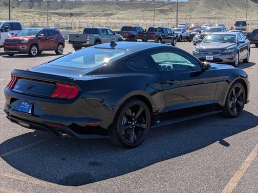 2022 Ford Mustang EcoBoost