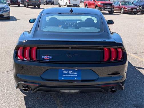 2022 Ford Mustang EcoBoost