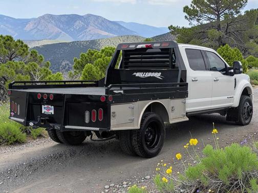 Star White 2020 Ford F-450 Platinum
