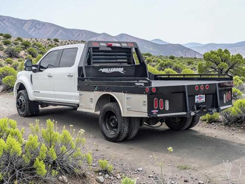 Star White 2020 Ford F-450 Platinum