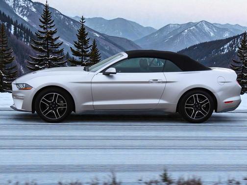 2019 Ford Mustang EcoBoost Premium