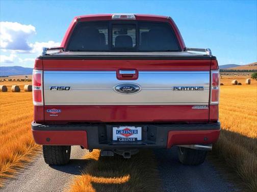 2012 Ford F-150 Platinum