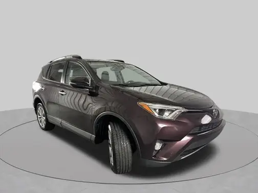 Black Currant 2018 Toyota RAV4 Limited
