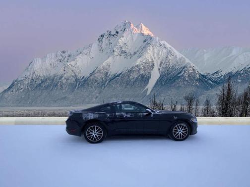 2015 Ford Mustang EcoBoost