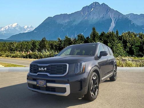 Panthera Metal 2025 Kia Telluride S