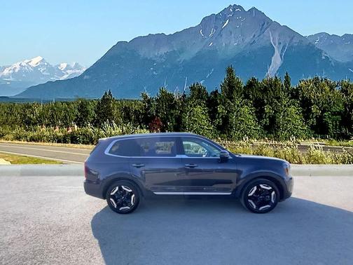 Panthera Metal 2025 Kia Telluride S