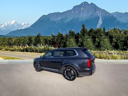 Panthera Metal 2025 Kia Telluride S