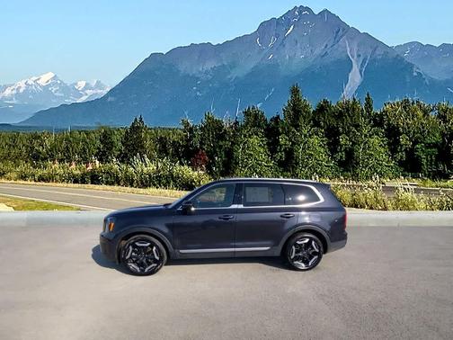 Panthera Metal 2025 Kia Telluride S