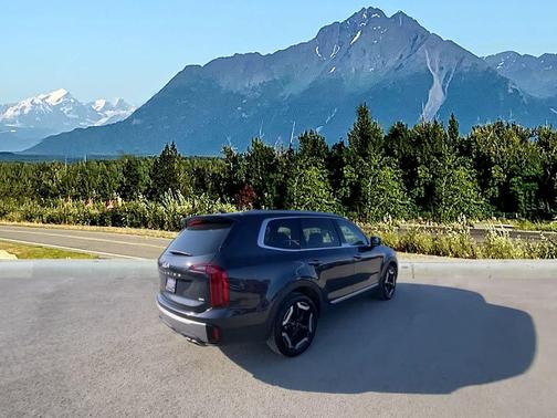 Panthera Metal 2025 Kia Telluride S
