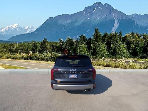 Panthera Metal 2025 Kia Telluride S