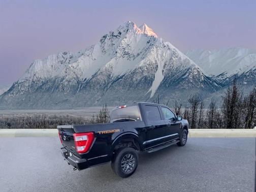 2021 Ford F-150 Tremor