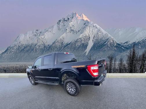 2021 Ford F-150 Tremor