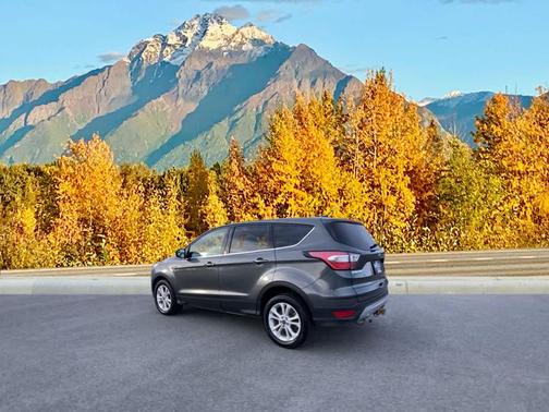 Magnetic Metallic 2017 Ford Escape SE