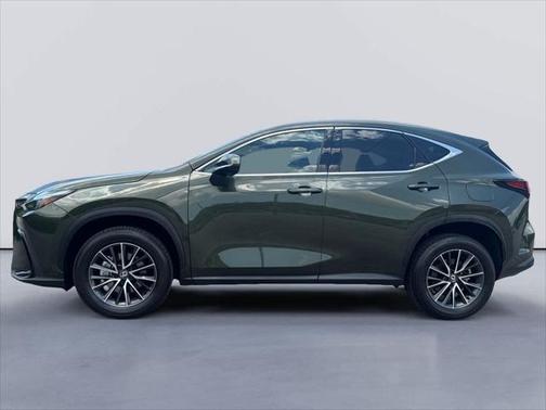 2024 Lexus NX 250 Premium