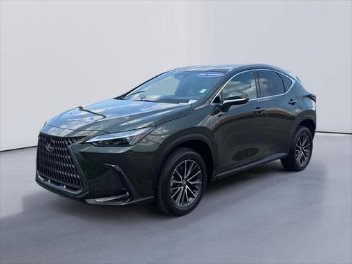 2024 Lexus NX 250 Premium