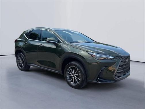 2024 Lexus NX 250 Premium