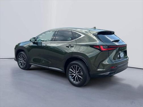 2024 Lexus NX 250 Premium