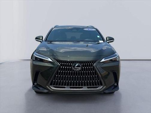 2024 Lexus NX 250 Premium