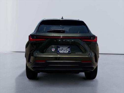 2024 Lexus NX 250 Premium