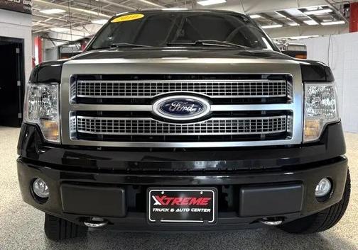 2010 Ford F-150 Platinum