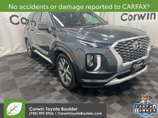 Rainforest 2022 Hyundai PALISADE Limited