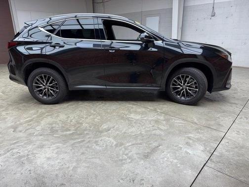 2024 Lexus NX 350h Premium