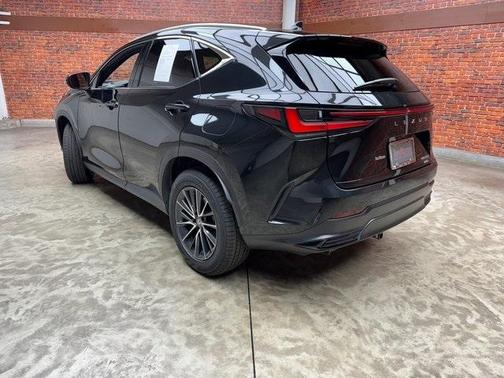 2024 Lexus NX 350h Premium