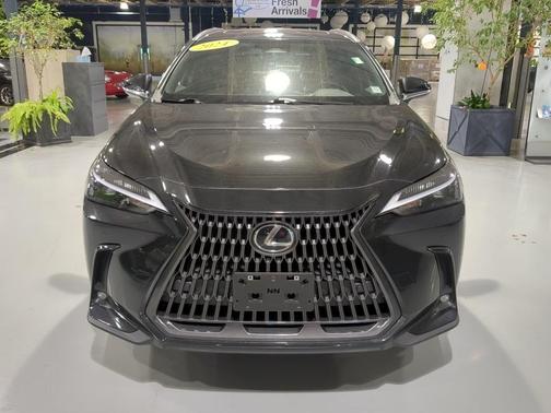 2024 Lexus NX 350 Premium
