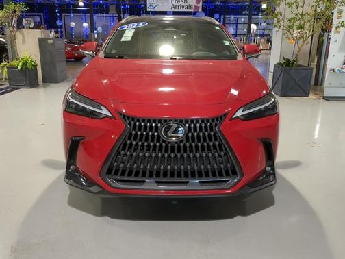 2024 Lexus NX 350h Luxury