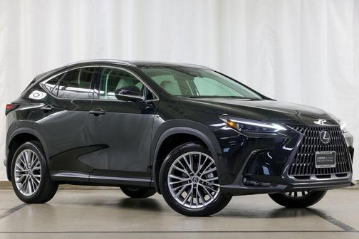 2025 Lexus NX 350 Luxury