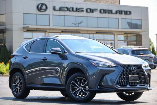 Cloudburst Gray 2024 Lexus NX 250 Premium