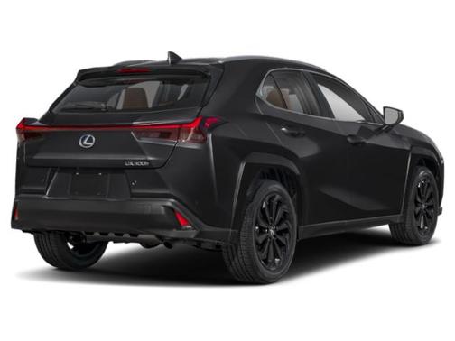 2025 Lexus UX 300h Premium