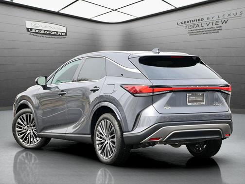 Cloudburst Gray 2025 Lexus RX 350 Luxury