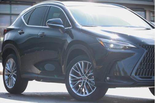 2025 Lexus NX 350 Premium