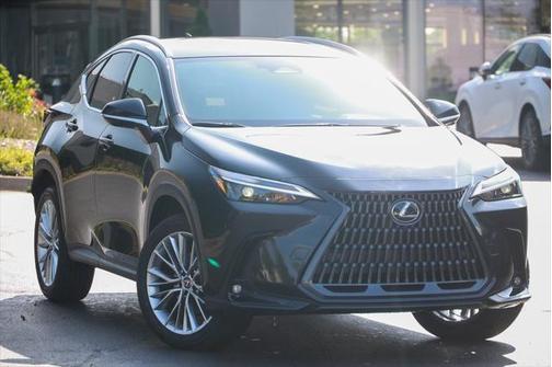 2025 Lexus NX 350 Premium
