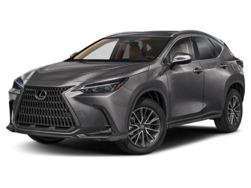 Cloudburst Gray 2025 Lexus NX 350 Premium