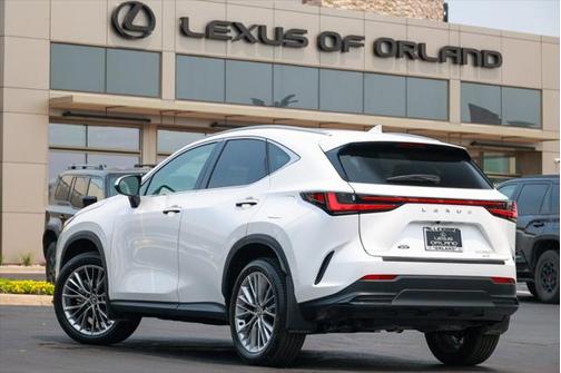 2025 Lexus NX 350h Luxury