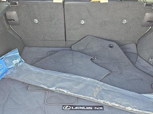 2024 Lexus NX 250 Premium