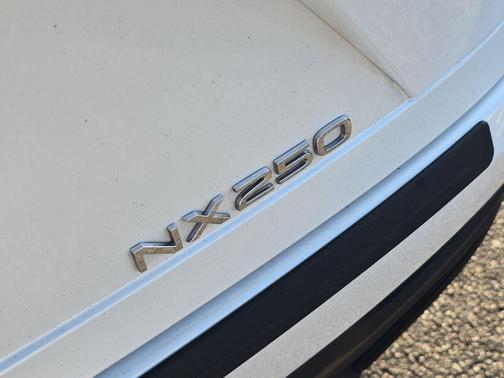 2024 Lexus NX 250 Premium