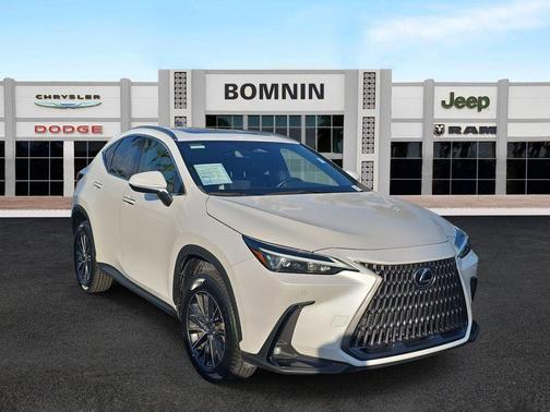 2024 Lexus NX 250 Premium