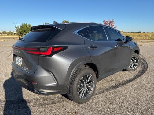 2025 Lexus NX 350h Luxury