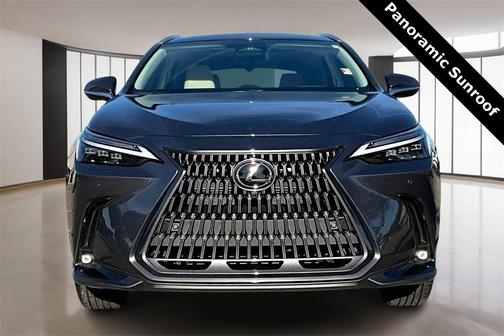 2025 Lexus NX 350h Luxury