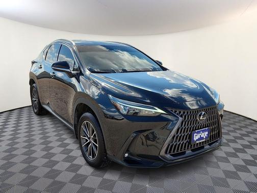 2024 Lexus NX 250 Premium